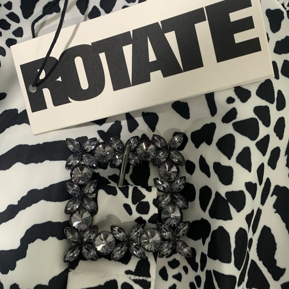 ROTATE by Birger Christensen Tara Taffeta zebra-print minidress - Picture 7 of 13